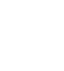 Wasaline values: Authentic