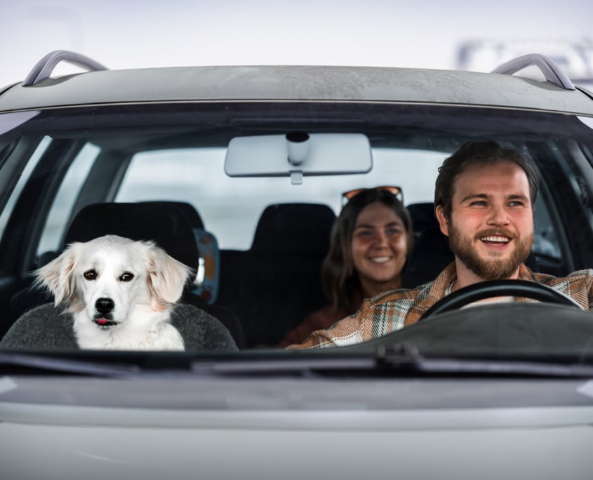 Family with a dog boarding Aurora Botnia