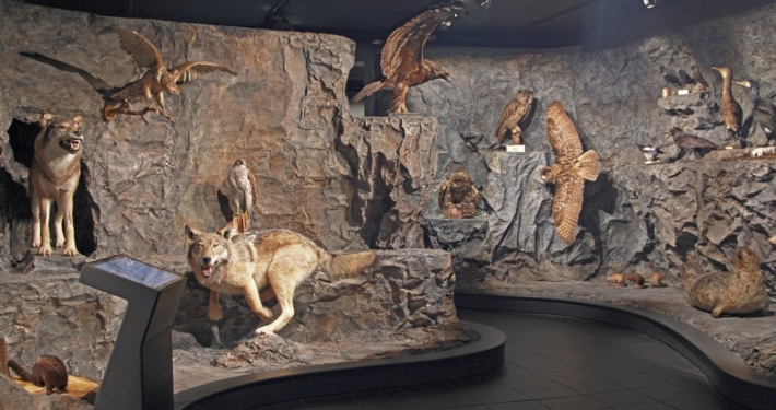 Terranova Exhibition. Photo: Mia Lindqvist